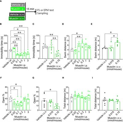 Musclin prevents depression-like behavior in male mice by activating urocortin 2 signaling in the hypothalamus